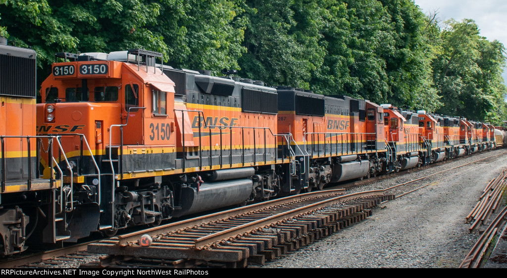 BNSF 3150 + Many units